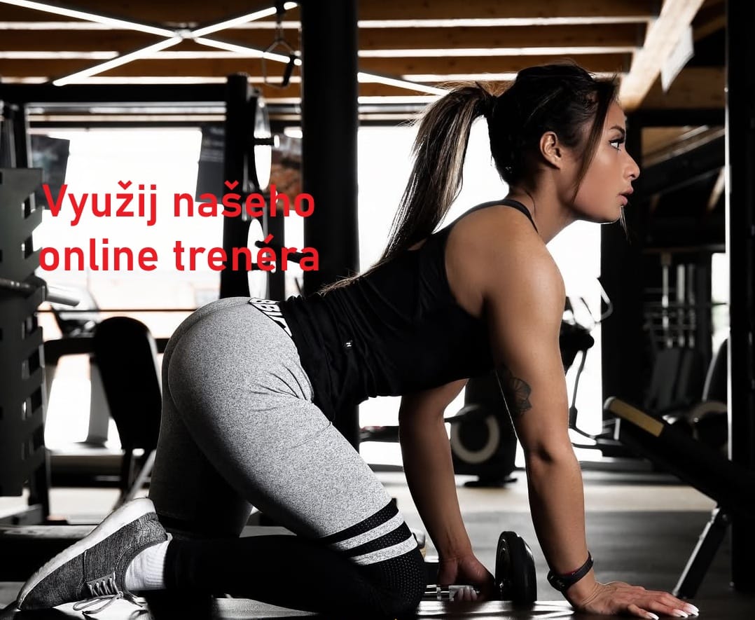 odborné články o výživě, regeneraci a tréninku